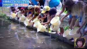 ▲どじょう放流イベントの様子