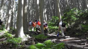 ▲登山を楽しむ様子