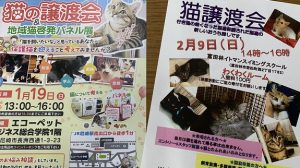 ▲定期的に開催されている「猫譲渡会」